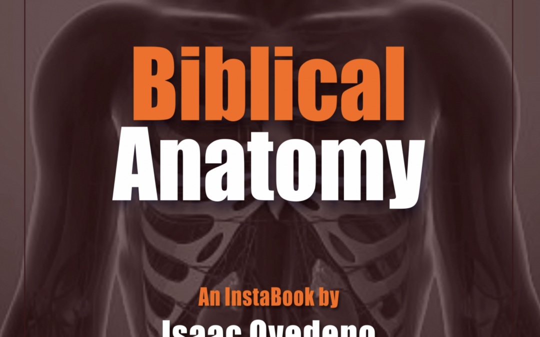 Biblical Anatomy